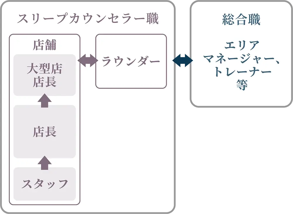 スリープカウンセラー職のキャリアアップ図
