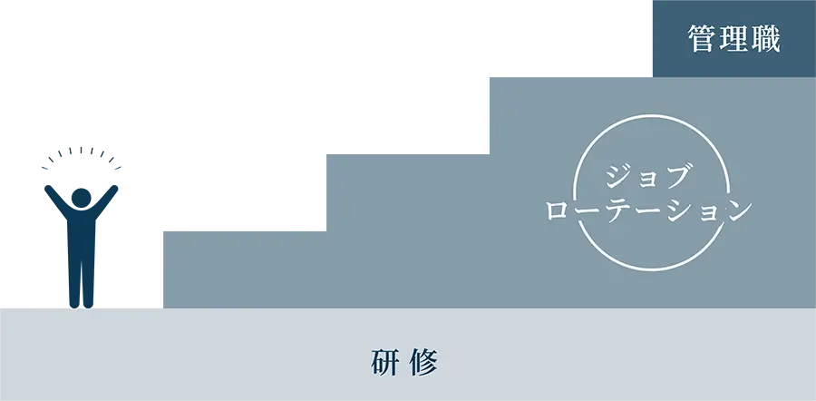 総合職のキャリアアップ図