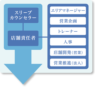 新卒SC研修フロー